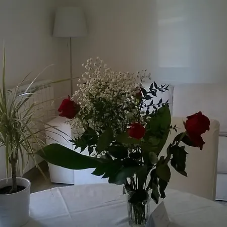 Swimming Pool Bed & Breakfast